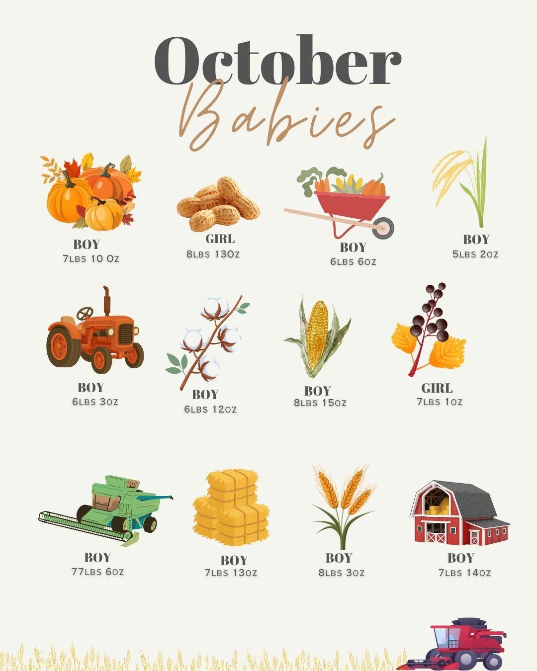 What you've all been waiting for!